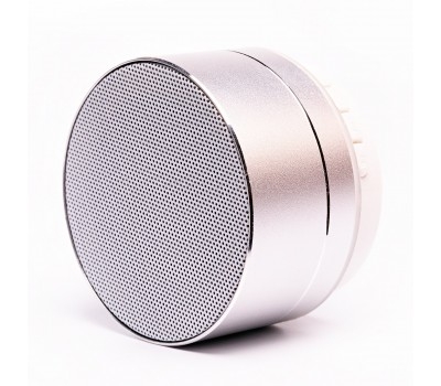 Портативная акустика - A10U-2A (silver)