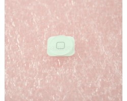 Толкатель кнопки Home для iPhone 5/5c Белый